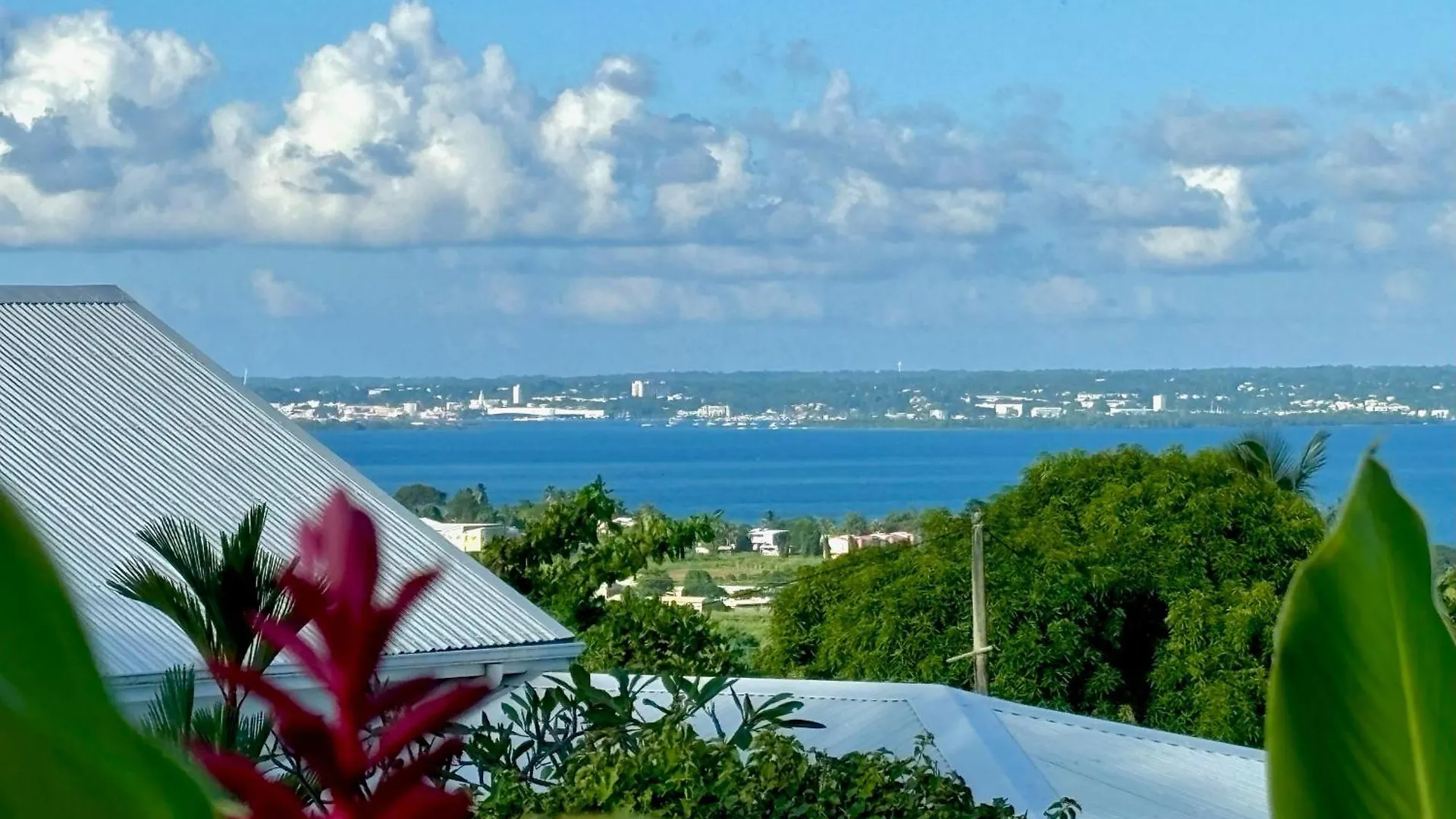 La Petite Creole - Bungalow De Standing Petit-Bourg